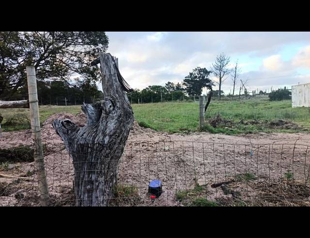 LAND FOR SALE IN ALBERTINIA